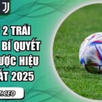 Tài xỉu 2 trái E2Bet